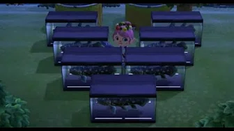 一時間でシーラカンス8匹＋○○２匹釣ってしまう豪運占い師【セフィラ・スゥ_どうぶつの森】 Luck girl caught 8 rare and 2 more rare fishes an hour.